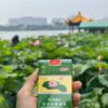 Diamond Lotus Cigarettes Chinese premium tobacco brand green packaging